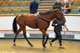 Lot  1499 THIT 143Tattersalls