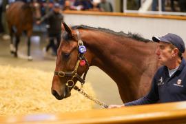 Lot  1513 TBK3 993Tattersalls