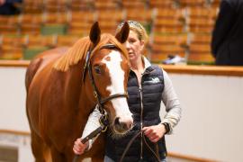 Lot  1532 TBK3 1052Tattersalls