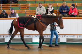 Lot  1553 THIT285Tattersalls