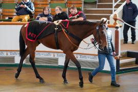 Lot  1553 THIT311Tattersalls