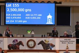 Lot  155 T B K1 5085 Tattersalls