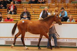 Lot  156 T B1 2407 Tattersalls