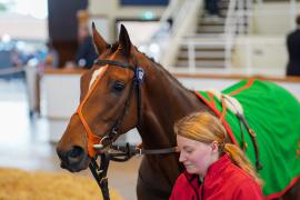 Lot  157 SHIT1154Tattersalls