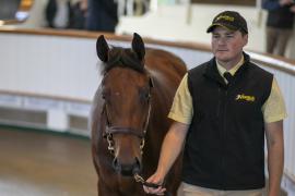 Lot  157 TBK1 3745Tattersalls