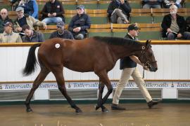 Lot  157 TBK1 3756Tattersalls