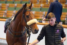 Lot  1581 THIT 695Tattersalls