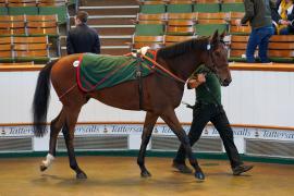 Lot  1586 THIT642Tattersalls