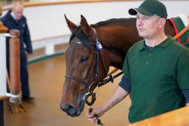 Lot  1586 THIT654Tattersalls