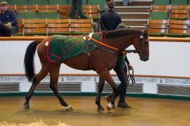 Lot  1588 THIT688Tattersalls