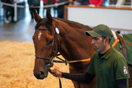 Lot  1588 THIT742Tattersalls