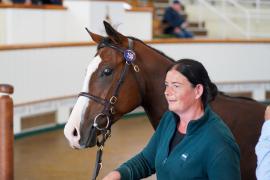 Lot  159 TSS1302Tattersalls