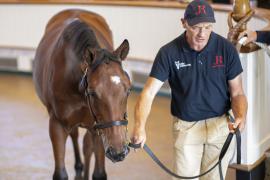 Lot  1620 TBK3 2450Tattersalls