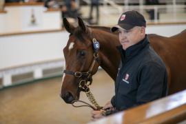 Lot  163 TBK1 4039Tattersalls