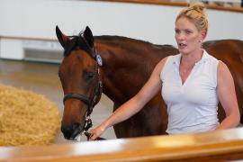 Lot  163 TSS1252Tattersalls