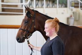 Lot  166 TSS1397Tattersalls