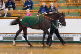 Lot  169 SHIT1605Tattersalls