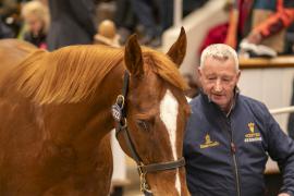 Lot  1722 TDM 6345Tattersalls