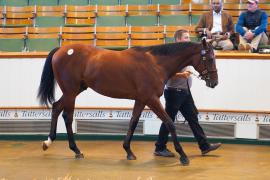 Lot  1724 TBK3 239Tattersalls