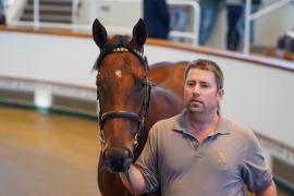 Lot  1724 TBK3 269Tattersalls