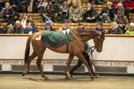 Lot  1748 TDM 8070Tattersalls