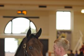 Lot  174 T B K1 0141 Tattersalls