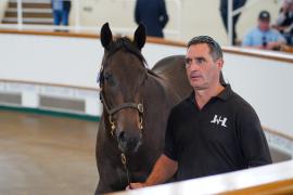 Lot  174 TSS1478Tattersalls