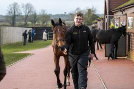 Lot  1753 TDM 0595Tattersalls