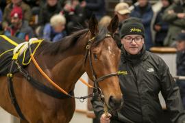 Lot  1753  TDM 8738Tattersalls