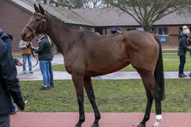 Lot  1757 TDM 1214Tattersalls