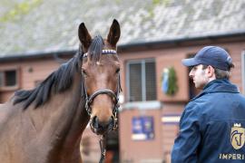 Lot  1757 TDM 1234Tattersalls