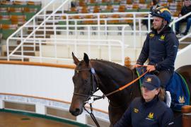 Lot  175 SHIT1475Tattersalls