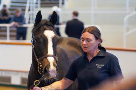 Lot  1761 TBK3 452Tattersalls