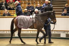 Lot  1762 TDM 9194Tattersalls