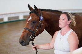 Lot  176 TSS1544Tattersalls