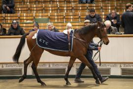 Lot  1770B TDM 9542Tattersalls