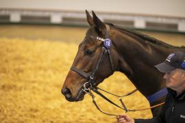 Lot  178 THIT 0732Tattersalls