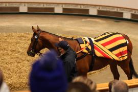 Lot  1798  TDM7330Tattersalls