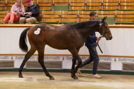 Lot  1807 TBK4 032Tattersalls