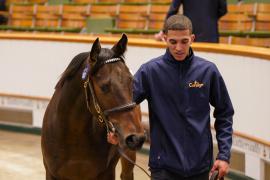 Lot  1807 TBK4 097Tattersalls