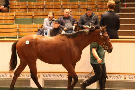 Lot  180 T B1 2654 Tattersalls