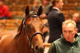 Lot  180 T B1 2688 Tattersalls