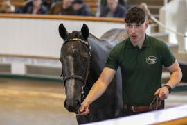 Lot  183 TBK1 4264Tattersalls