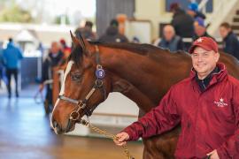 Lot  18 TDY 193Tattersalls