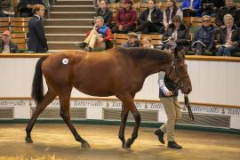 Lot  190 TBK1 4937Tattersalls