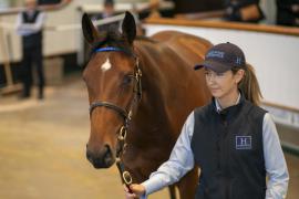 Lot  190 TBK1 4947Tattersalls