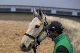 Lot  1917 TDM 10529Tattersalls