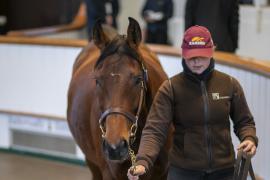 Lot  1928 TDM 10700Tattersalls