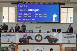 Lot  195 T B K1 0705 Tattersalls