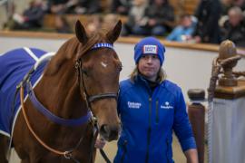 Lot  1970 TDM 11094Tattersalls